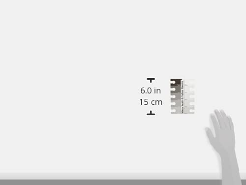 COLOR WHEEL COMPANY GRAY SCALE VALU FIND 4"X6"-2