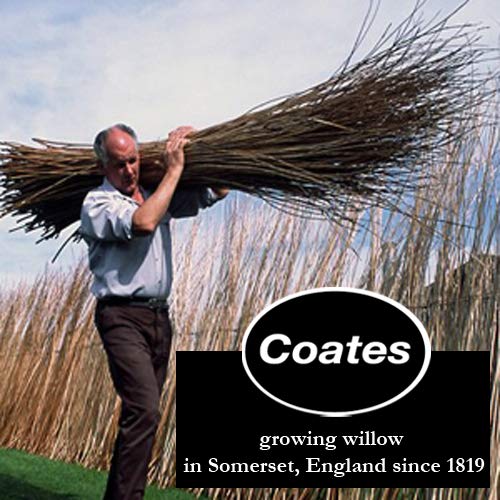 Coates Willow Charcoal Assorted 30 Pieces-6