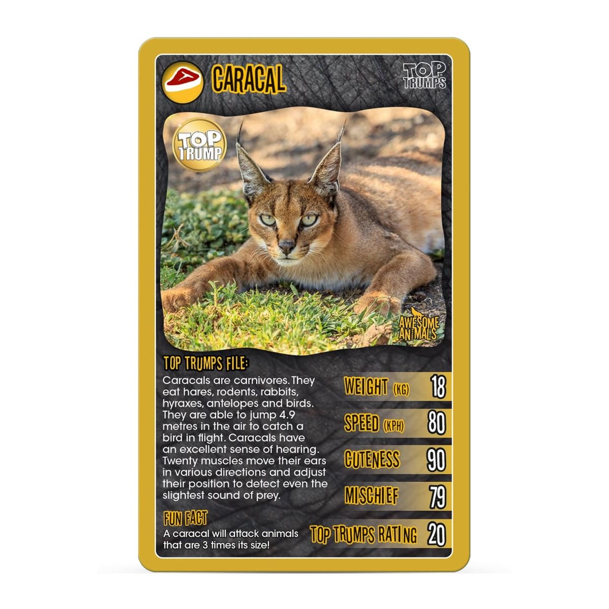 Awesome Animals Top Trumps Card Game, for 8 years to 99 years-3