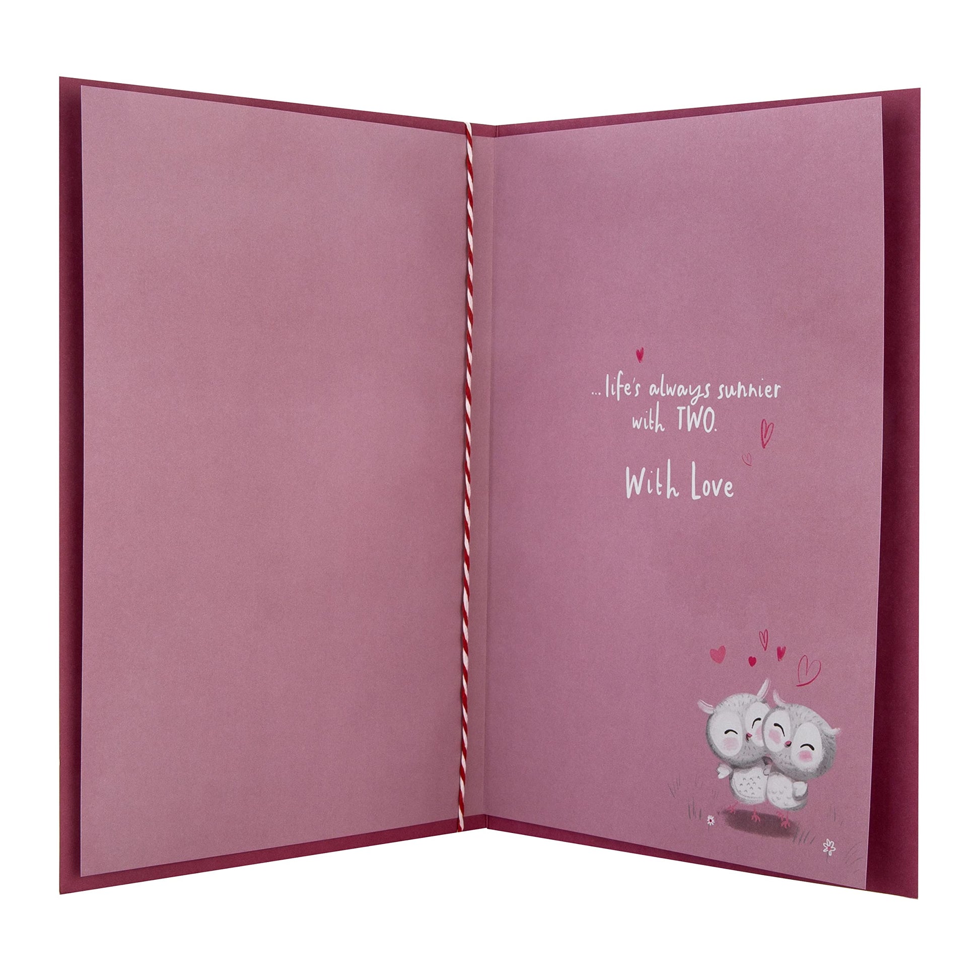 Hallmark Anniversary Card - Cute Illustrated Owl Design with Verse-2