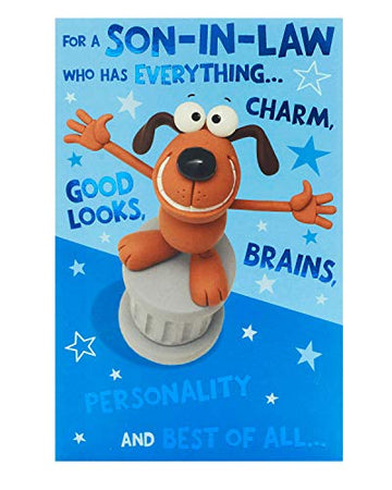 Cute Funny Son-In-Law Birthday Greeting Card Crackers Range Cards New