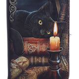 Nemesis Now Lisa Parker Witching Hour Cat Witch Purse Black - 18.5cm