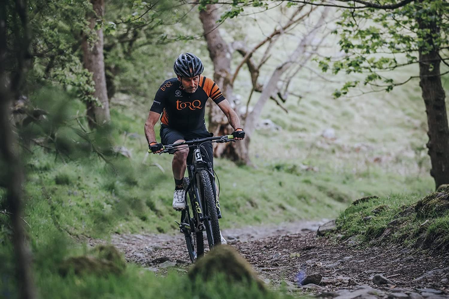 Torq Explore Flapjack 6 Bar Selection Box Bundle